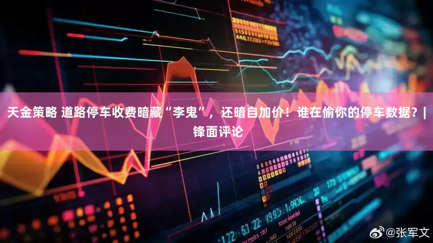 天金策略 道路停车收费暗藏“李鬼”，还暗自加价！谁在偷你的停车数据？| 锋面评论