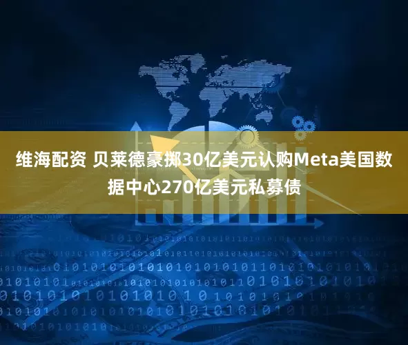 维海配资 贝莱德豪掷30亿美元认购Meta美国数据中心270亿美元私募债